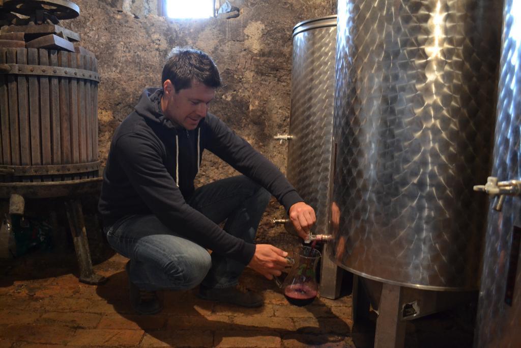 Vineyard Cottage Skatlar Otocec Ruang foto
