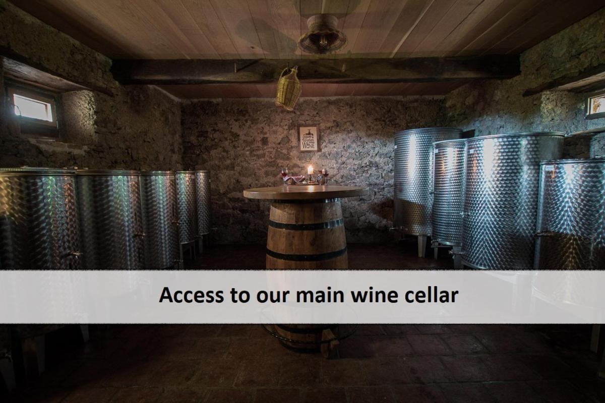 Vineyard Cottage Skatlar Otocec Bagian luar foto