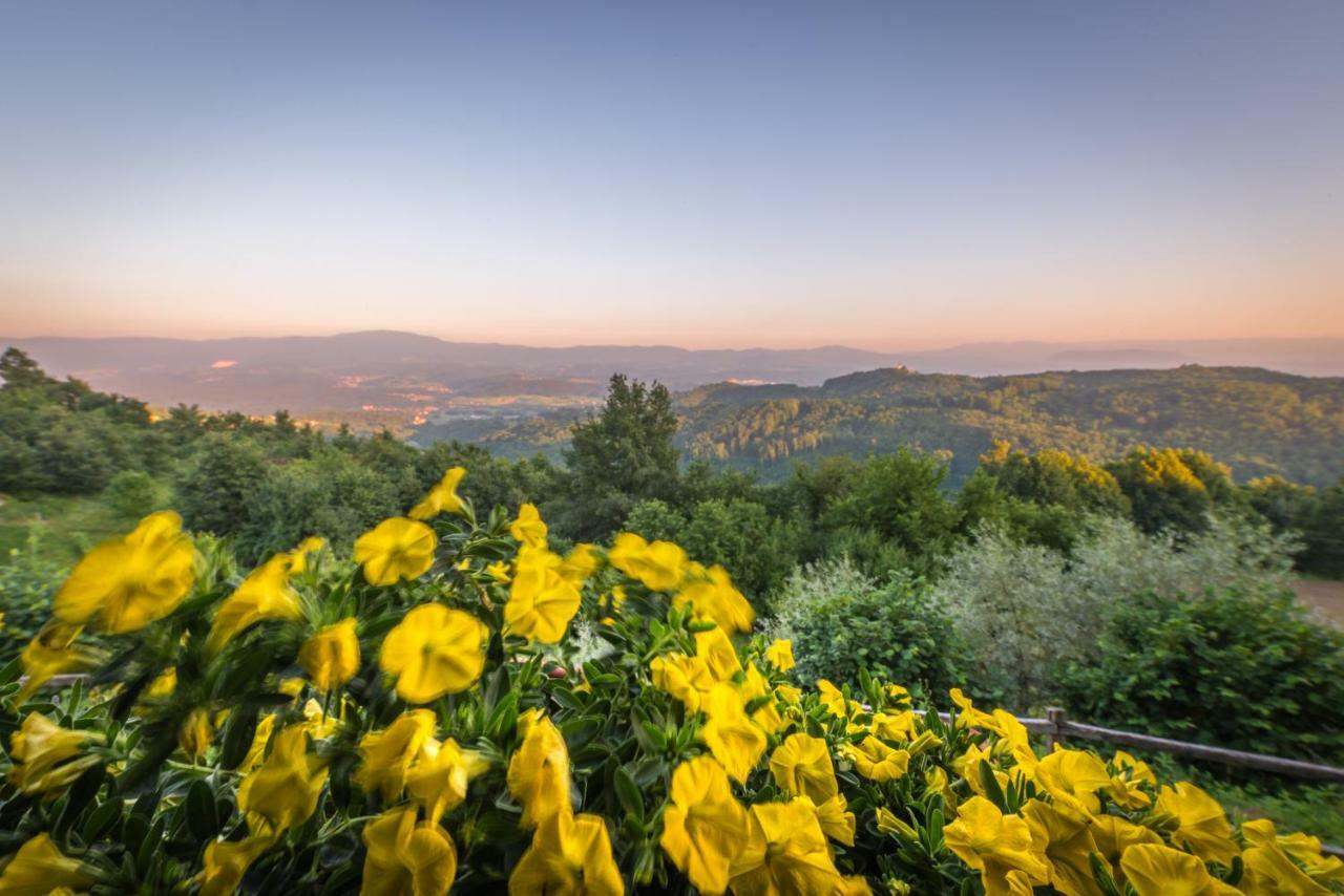 Vineyard Cottage Skatlar Otocec Bagian luar foto